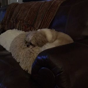 Meet your Posher, Mary